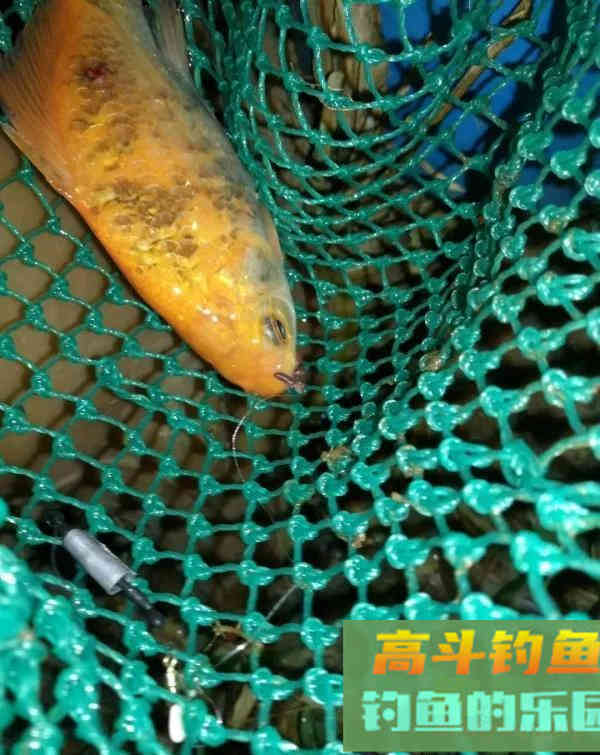 钓鱼人的春天，小钩细线享清欢。