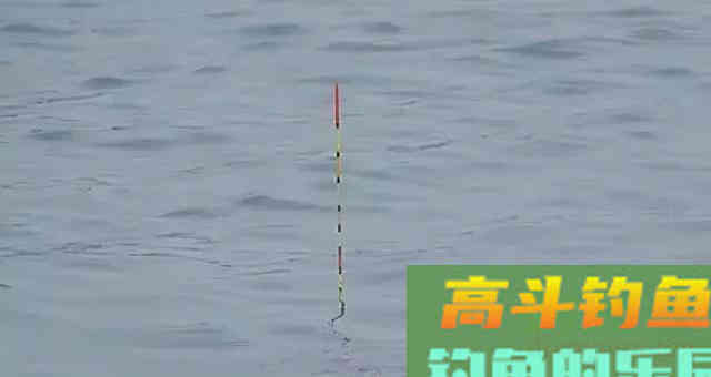 为何入秋之后，水库守钓始终没鱼口