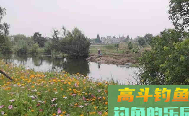 春季和秋季，都是钓鱼的黄金季节