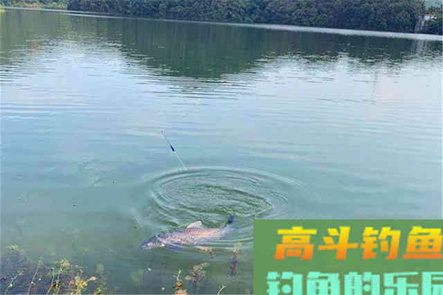 秋分过后钓大鱼，有这4宜4不宜