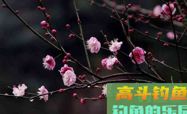遇到倒春寒，也可以愉快地钓鱼