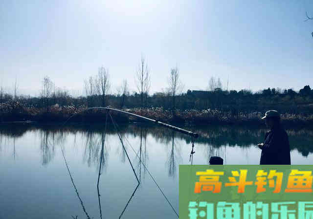 冬钓用多长的竿最合适，想要钓到大个体的鱼都有哪些技巧