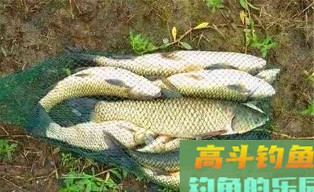 秋季钓鱼，跟夏季完全不是一个路数