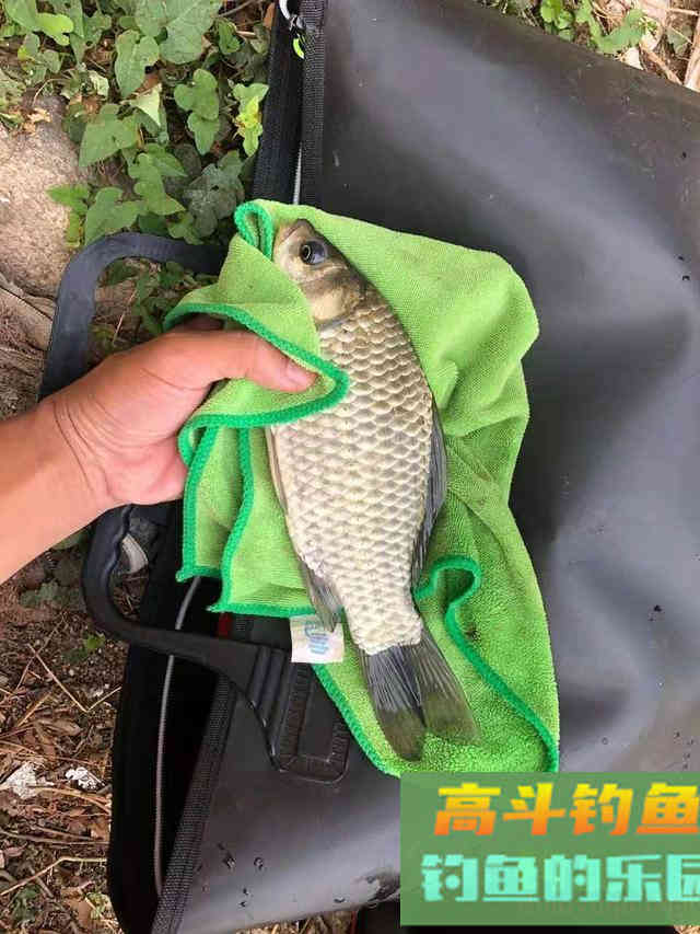 春天钓鱼没口原因原因盘点，找准后解决起来不麻烦