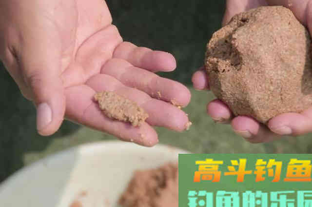 秋钓掌握这5个调整策略，钓不过瘾