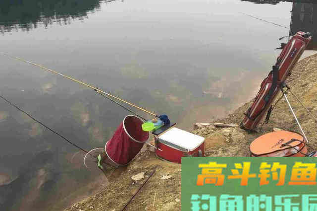 刚立春，我就换用这百试不爽的钓法
