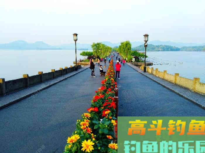 夏季为什么难钓鲫鱼？通过这3点分析，来解决钓大鲫难问题