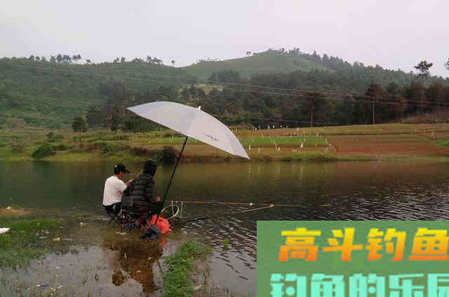 偷偷地告诉你，秋钓诱鱼，其实只需用好这3招
