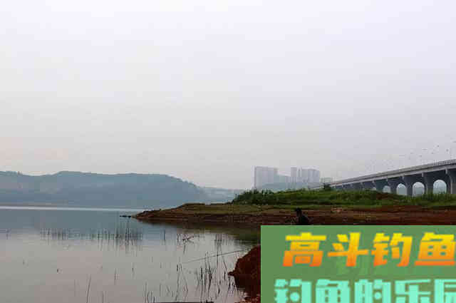 为何别人冬钓连杆，自己鱼口全无