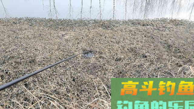 冬钓鲫鱼把握方法和时机，这四点要明确