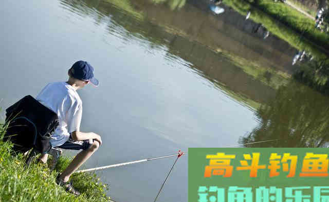 立秋后连续高温天气，自然水域退水鱼难钓