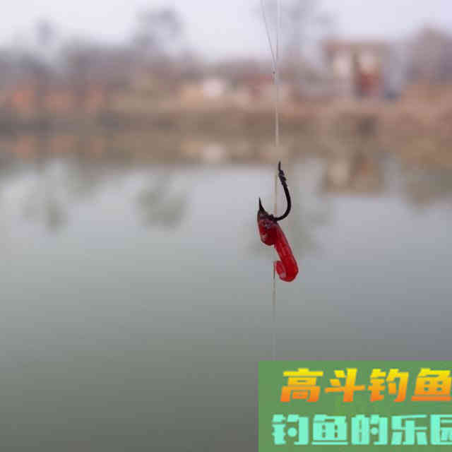 冬季钓鱼，鱼情发生了哪些变化？该如何应对呢