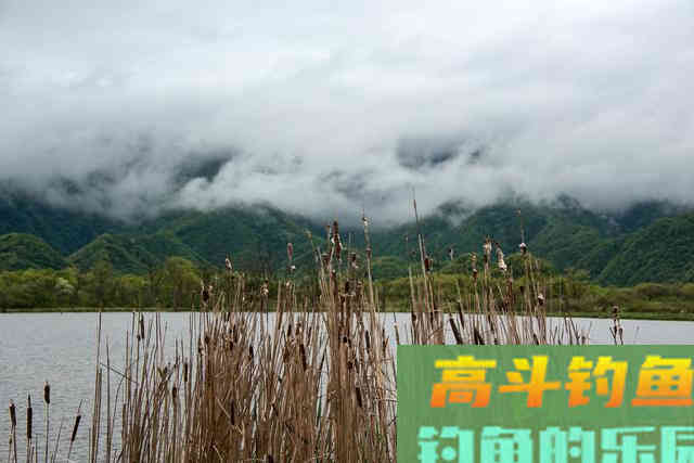 浅谈秋天钓鱼的天气，对应目标鱼和钓位