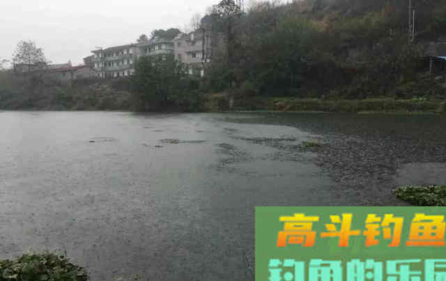 冬季钓鱼问得最多的问题，我给你们圈出了7个