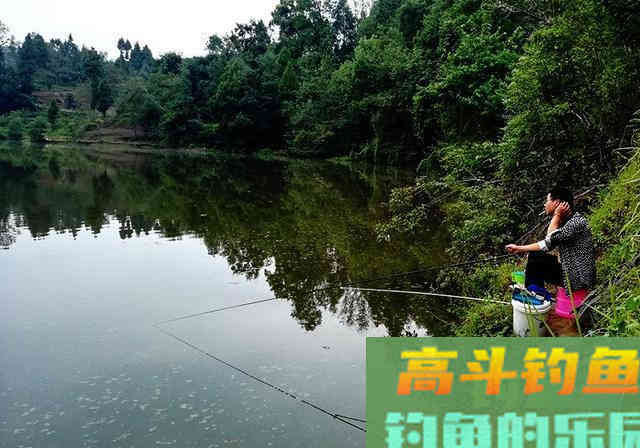 夏季外出钓鱼，早点知道这些事，少走弯路渔获多
