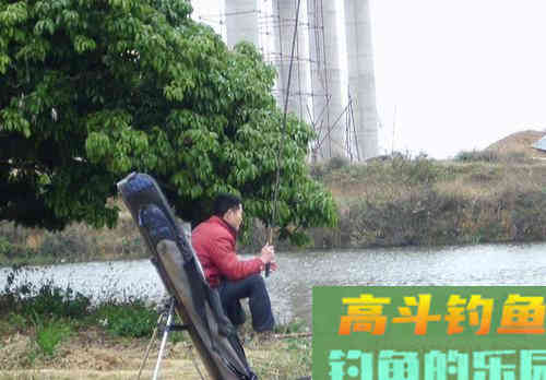 入秋后水温转低，钓草鱼需要钓多深，才能有鱼口