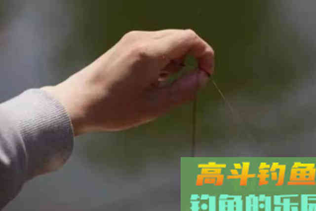 好心提醒，春钓千万别犯这三个错误