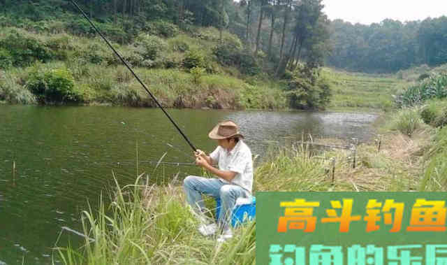 立秋之后，温度下降，四个技巧准确把握鱼情