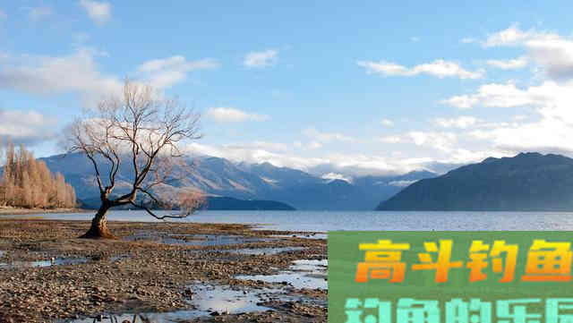 春季钓浅滩，别人连竿你不上鱼，因为钓位不是真浅滩