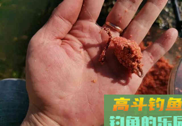 商品饵VS蚯蚓，冬天钓鱼到底用什么饵靠谱