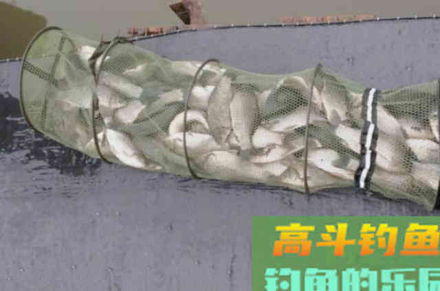 冬天的鱼难钓到怀疑人生？那是你没用这钓法