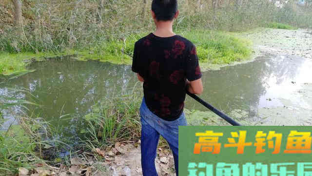 春季钓鱼这做好这五点，每次让你钓得总比别人多