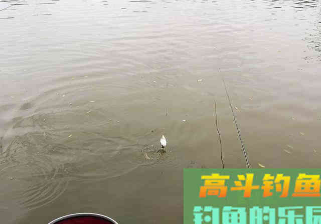 春季钓鱼，参考这5条实战经验，钓鱼就这么容易