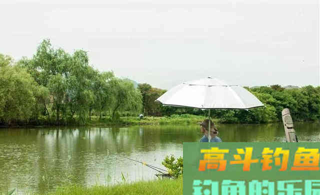 秋季钓鱼，天气不当鱼不开口，钓位不当没鱼咬钩