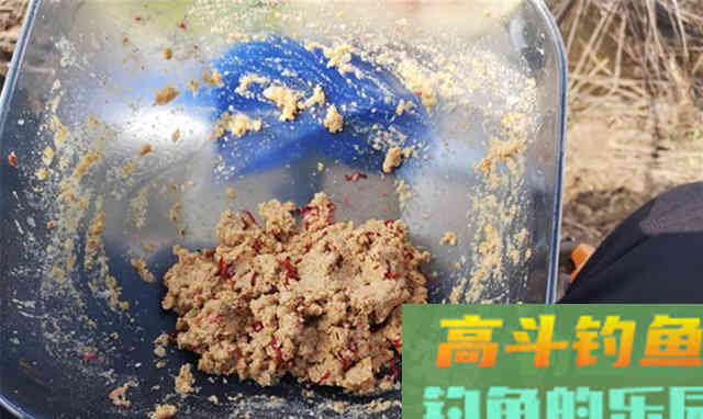 冬季钓鱼，会选窝、会用饵，就能连杆中鱼