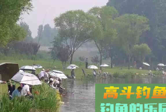 春钓想要渔获好，三勤二不一注意，据说照做了爆护不难