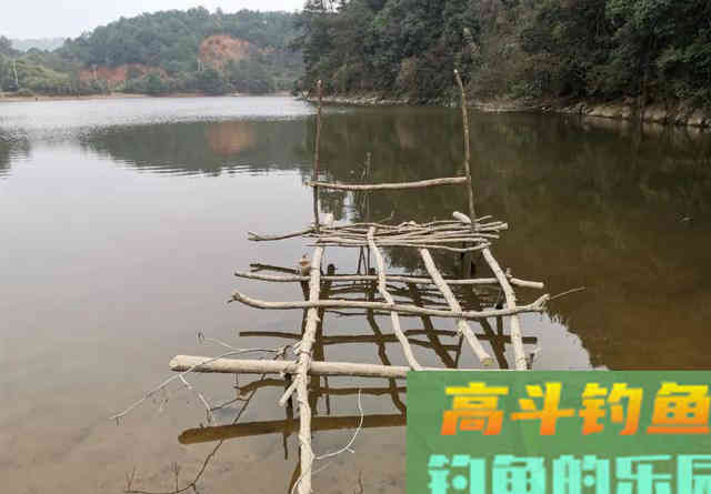 春天钓鱼别光顾着钓浅，有时候还得钓远，实践出真知