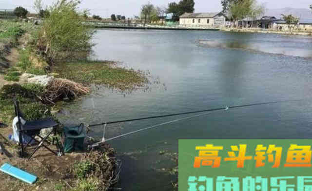 春季为什么要钓滩？