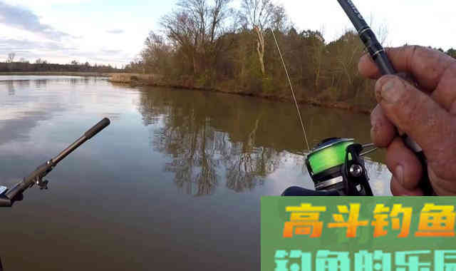 秋天过半，随着温度下降这九种鱼要钓不到了