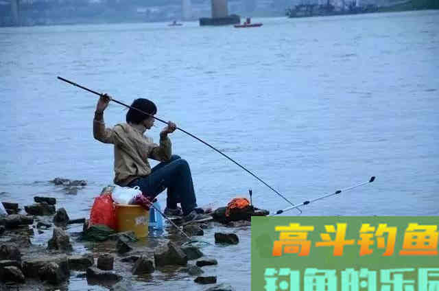 入秋后为何鱼还是不开口
