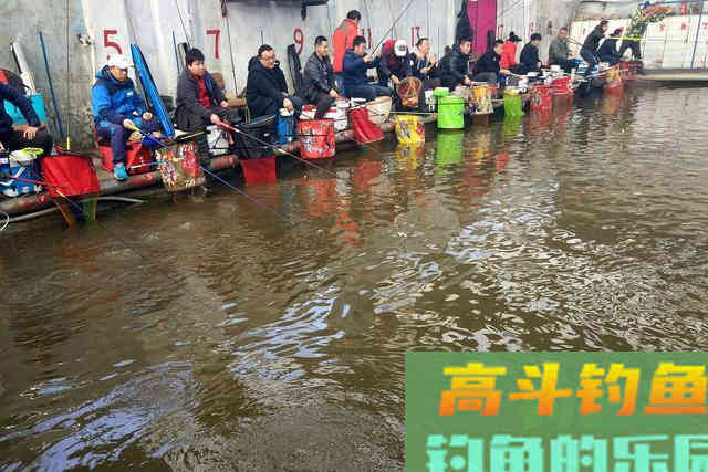 两类截口四种漂相，漂动就提，冬季钓大棚，想不上岸都难
