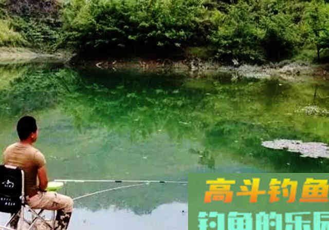 夏季外出钓鱼，早点知道这些事，少走弯路渔获多