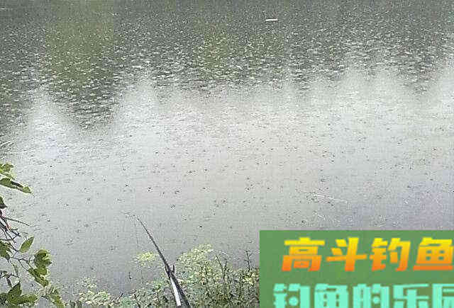 辟谣：秋天的鱼肥好钓？还真不一定；这4点因素太过重要
