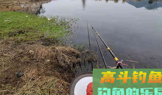 初春、仲春、暮春各不同，跟着节气来钓鱼