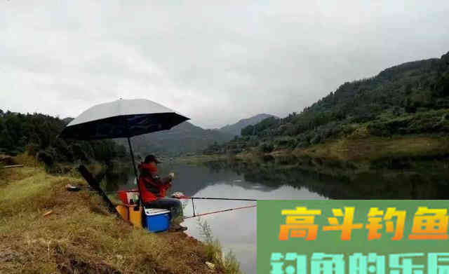 秋季钓鱼，天气不当鱼不开口，钓位不当没鱼咬钩
