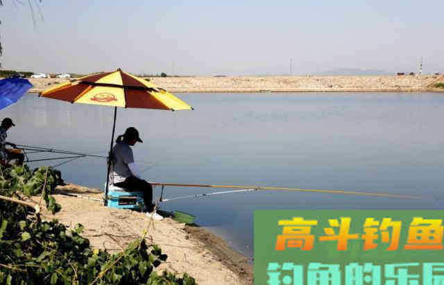 立秋之后，温度下降，四个技巧准确把握鱼情