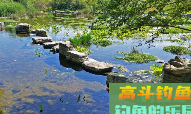 立秋之后，温度下降，四个技巧准确把握鱼情