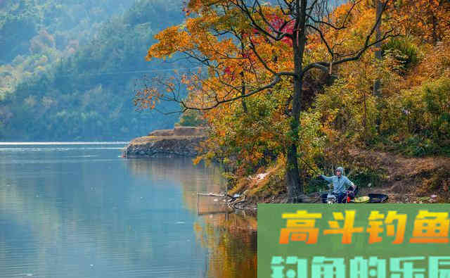 初夏钓鱼，别人鱼口不断你没口，用好这些技巧