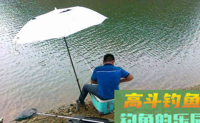 夏钓深，如何正确的垂钓深水窝