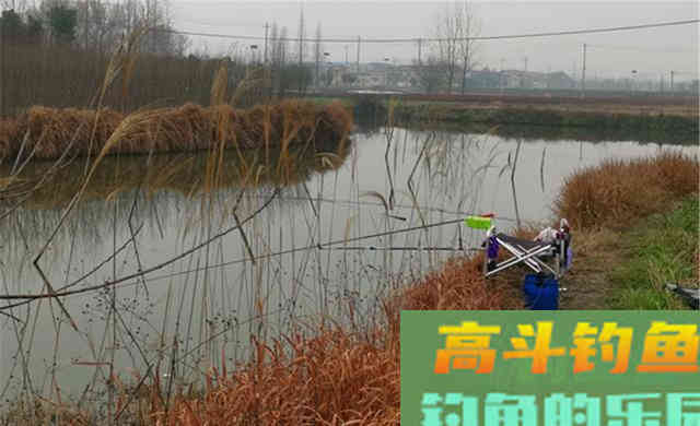 冬季钓鱼，5小5不钓，冬钓爆护不难