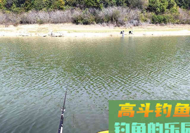 春季垂钓何时钓深？何时钓浅？看完这篇文章你就懂了