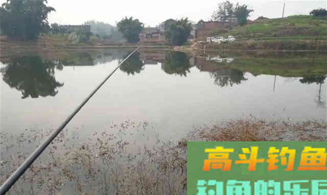 冬季钓鱼，会选窝、会用饵，就能连杆中鱼