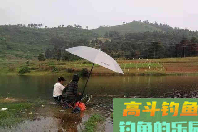 今天才知道，春钓这样诱鱼，既简单又快速