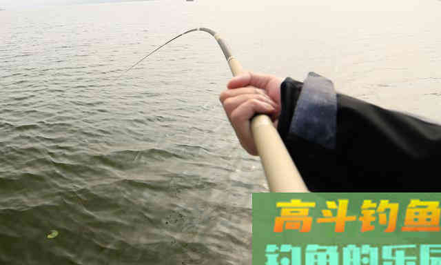 秋季如何垂钓近水