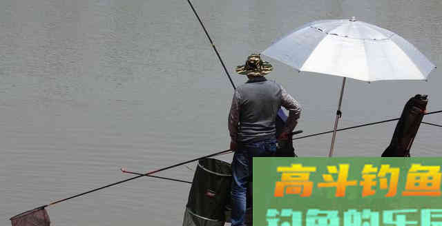 冬天野钓用传统钓还是台钓?比较后这种钓法完胜 冬天野钓用传统钓还是台钓?比较后这种钓法完胜