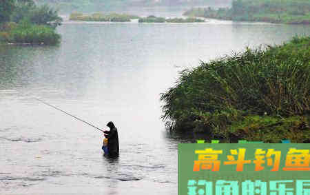 入夏多雨季，鱼口却是时好时坏，到底怎么做才能渔获